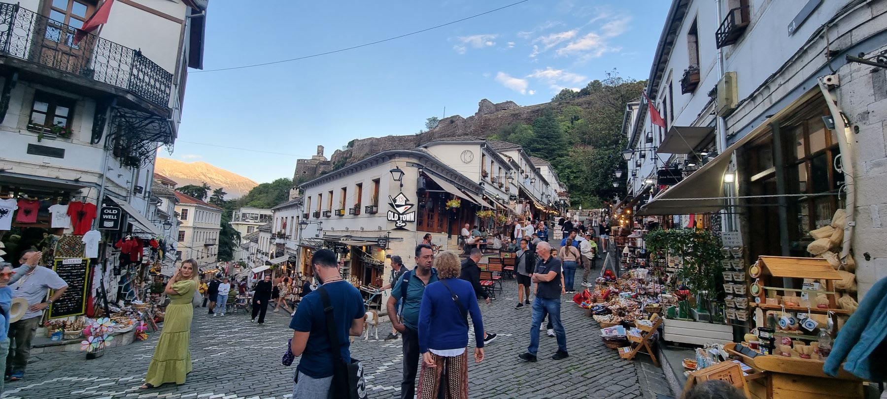 Gjirokastra Old Town Walking Tour - Image 1