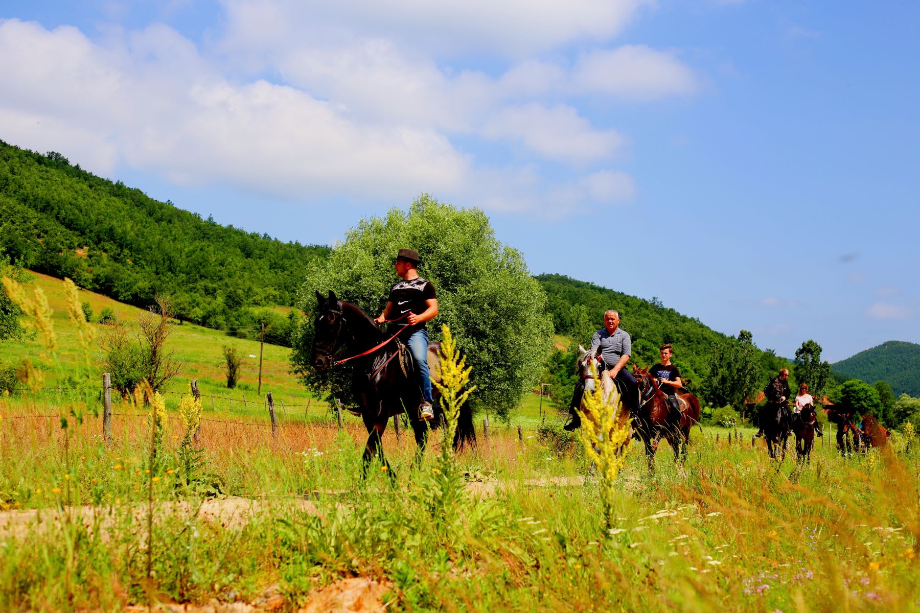 Horse Riding Tours