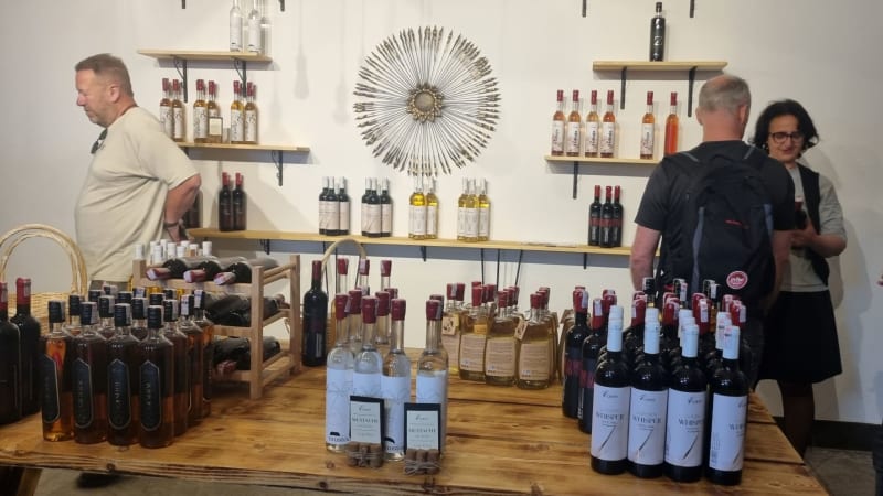 Wine Tasting Daily Tour from Pristina to Risons Distillery & Winery