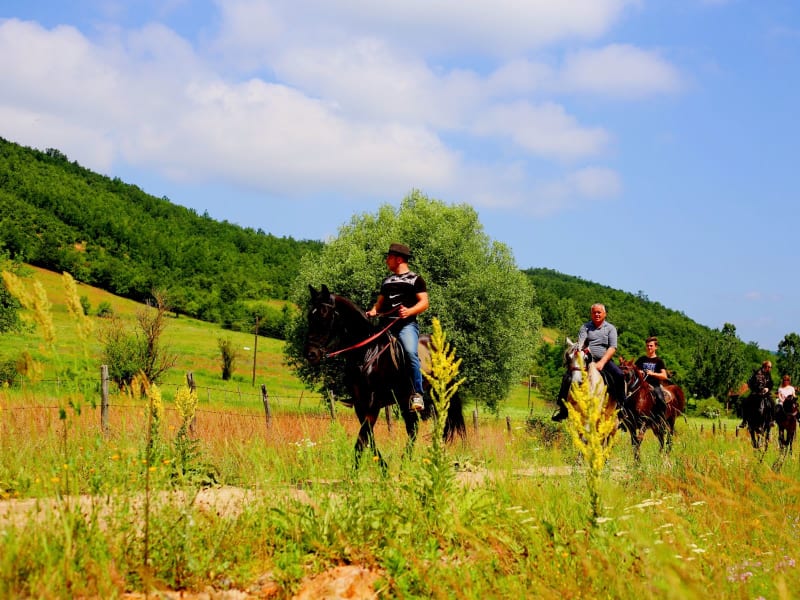 Horse Riding Tours