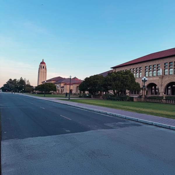 An empty road beside sandstone campus buildings and a tall tower