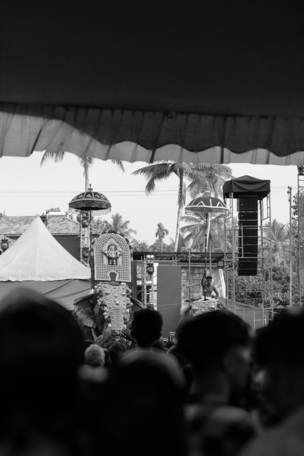 Black-and-white photograph of decorated elephants beyond a crowd, viewed from beneath a canopy