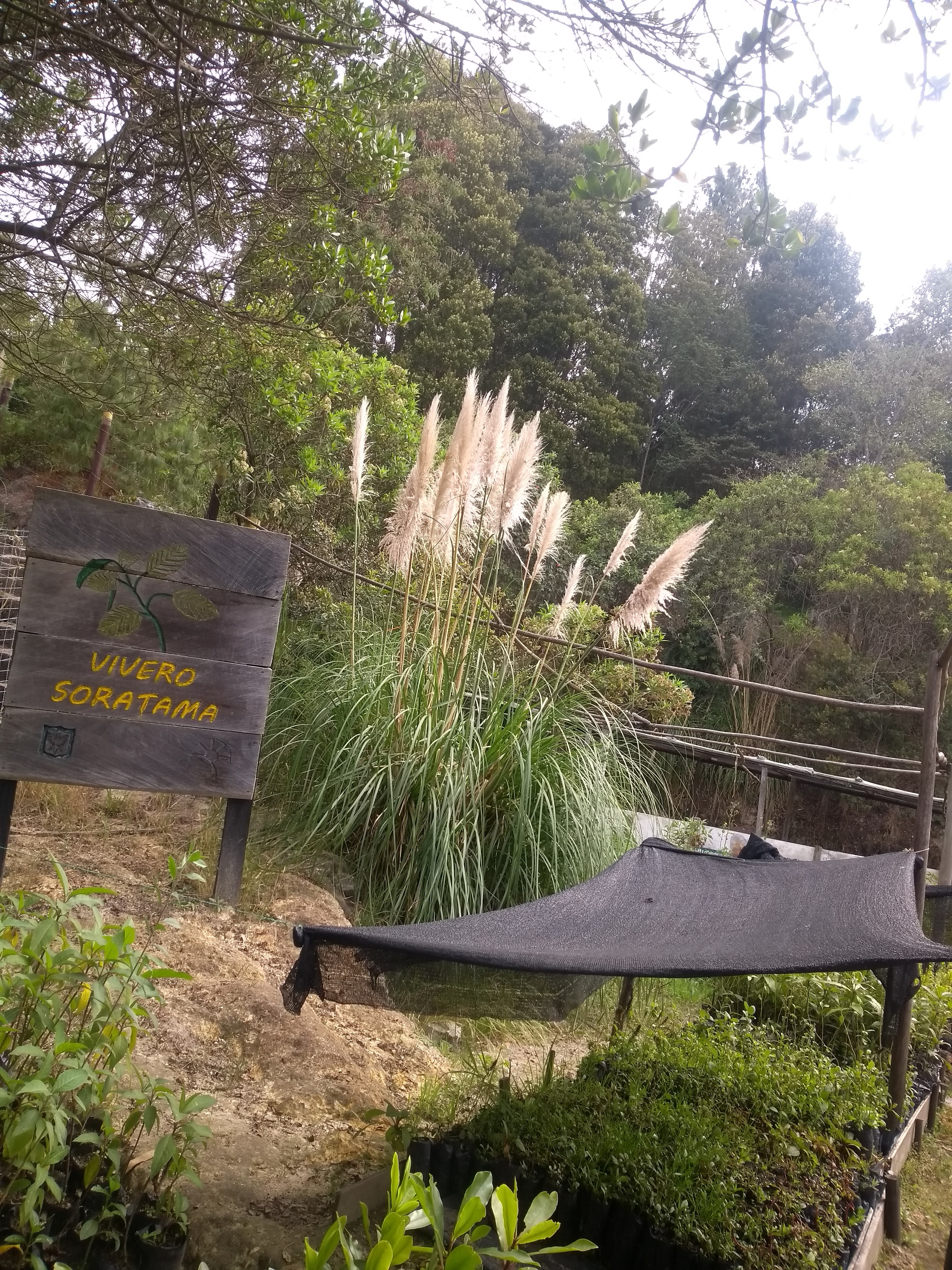 Aula Ambiental Soratama