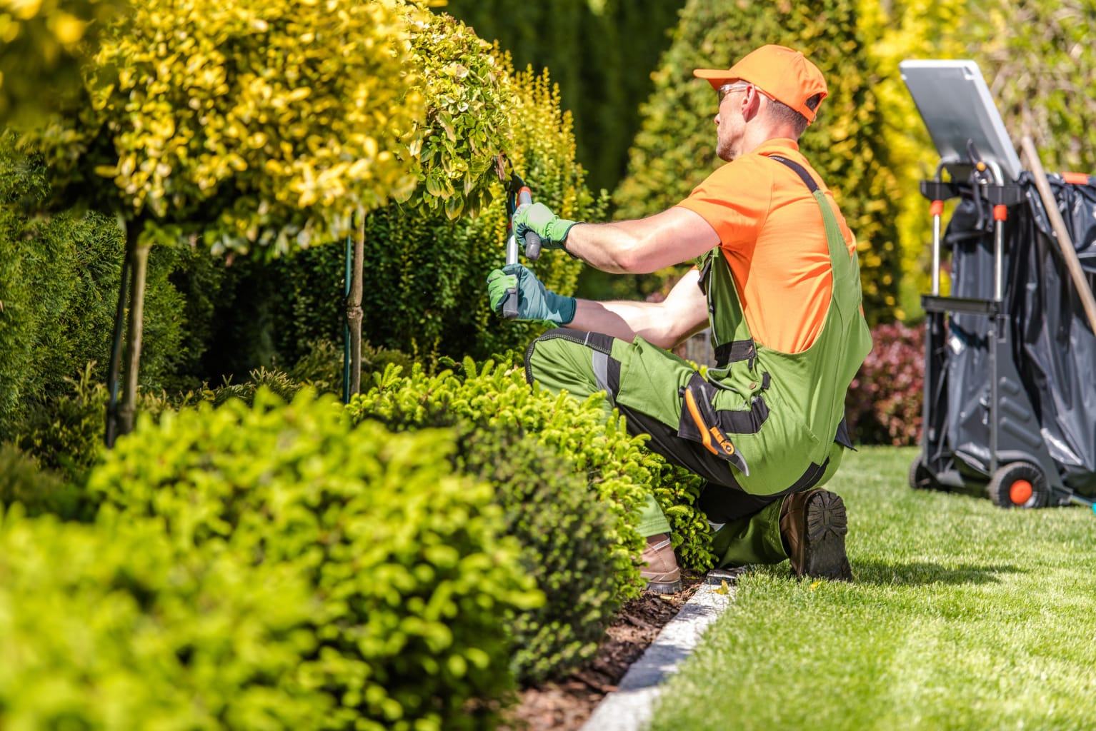 Aerial view of professional landscaping crew working on residential property installation with truck and equipment