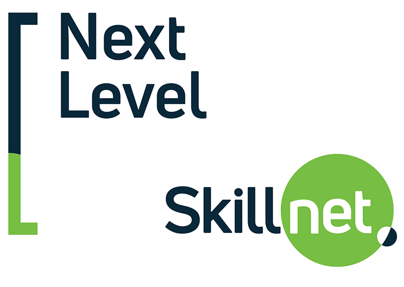 next level skill net ireland logo