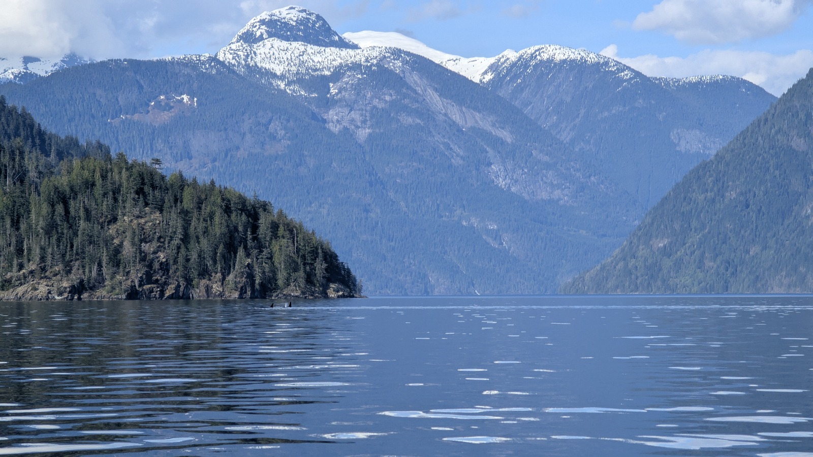 Ocean Image