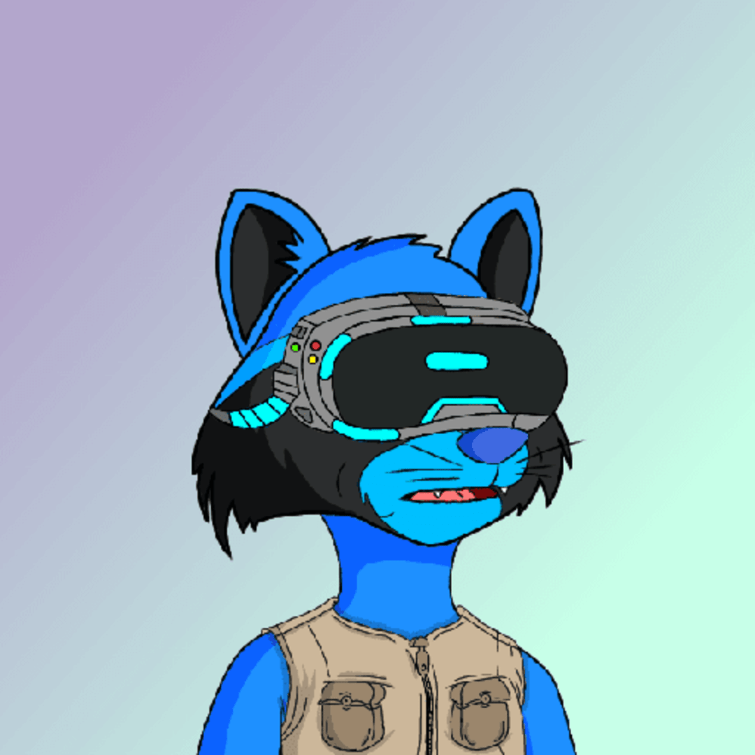 Crypto Raccoon NFT
