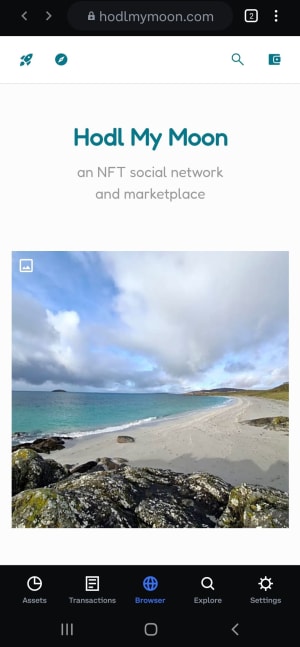 Open the dapp browser