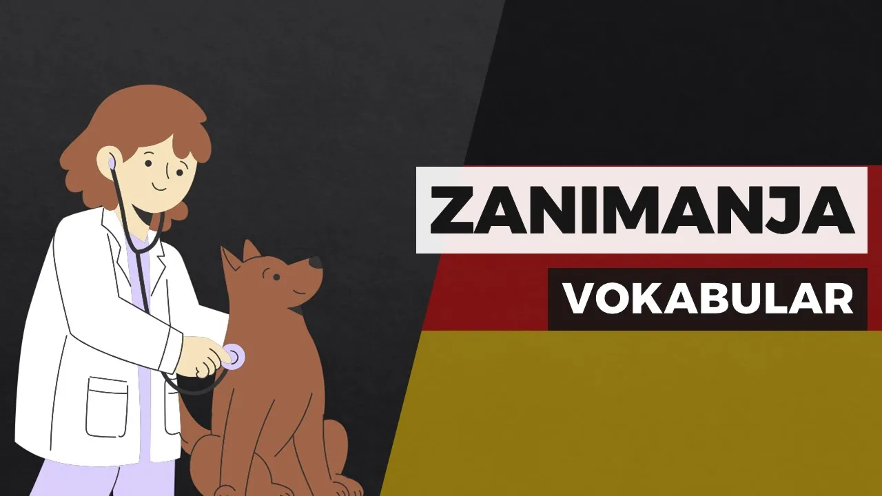 Zanimanja na njemačkom jeziku