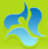 Project icon