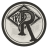 Project icon