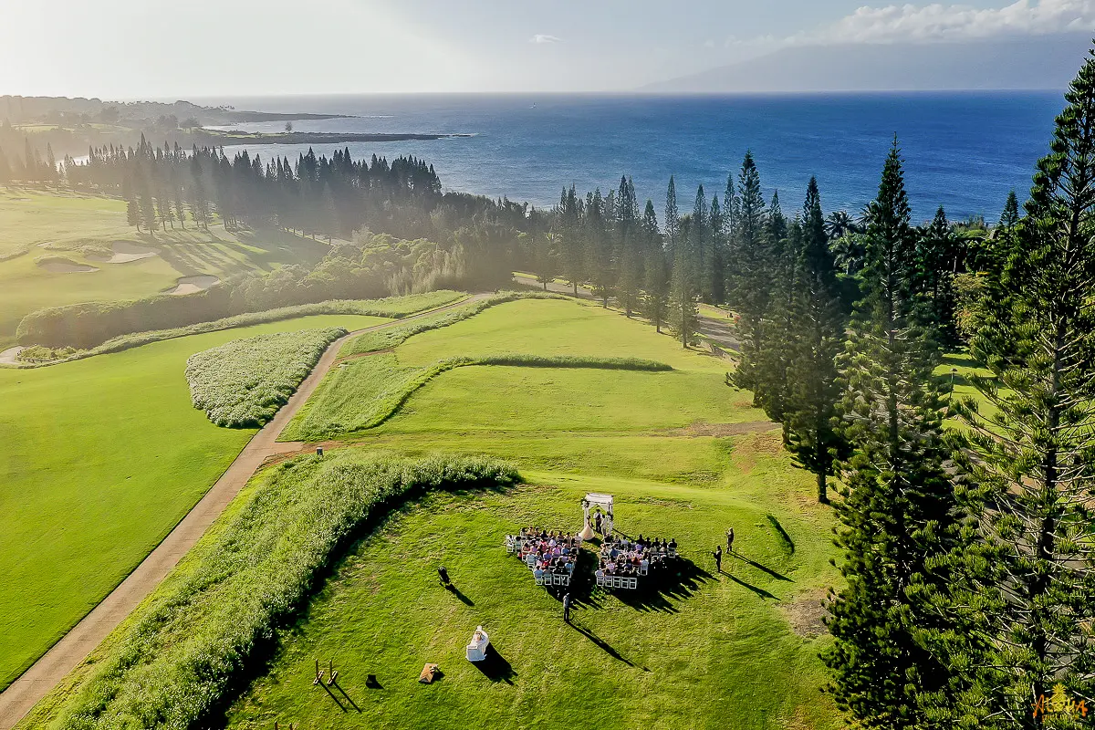 Molokai Lawn - Gallery Image 9