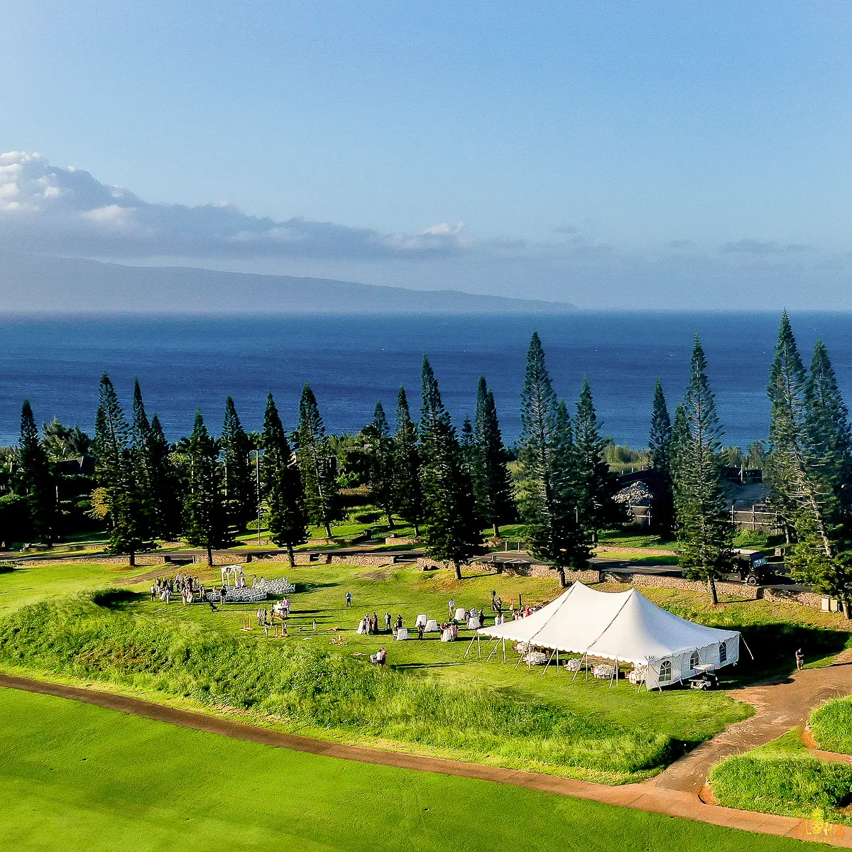 Molokai Lawn - Gallery Image 7