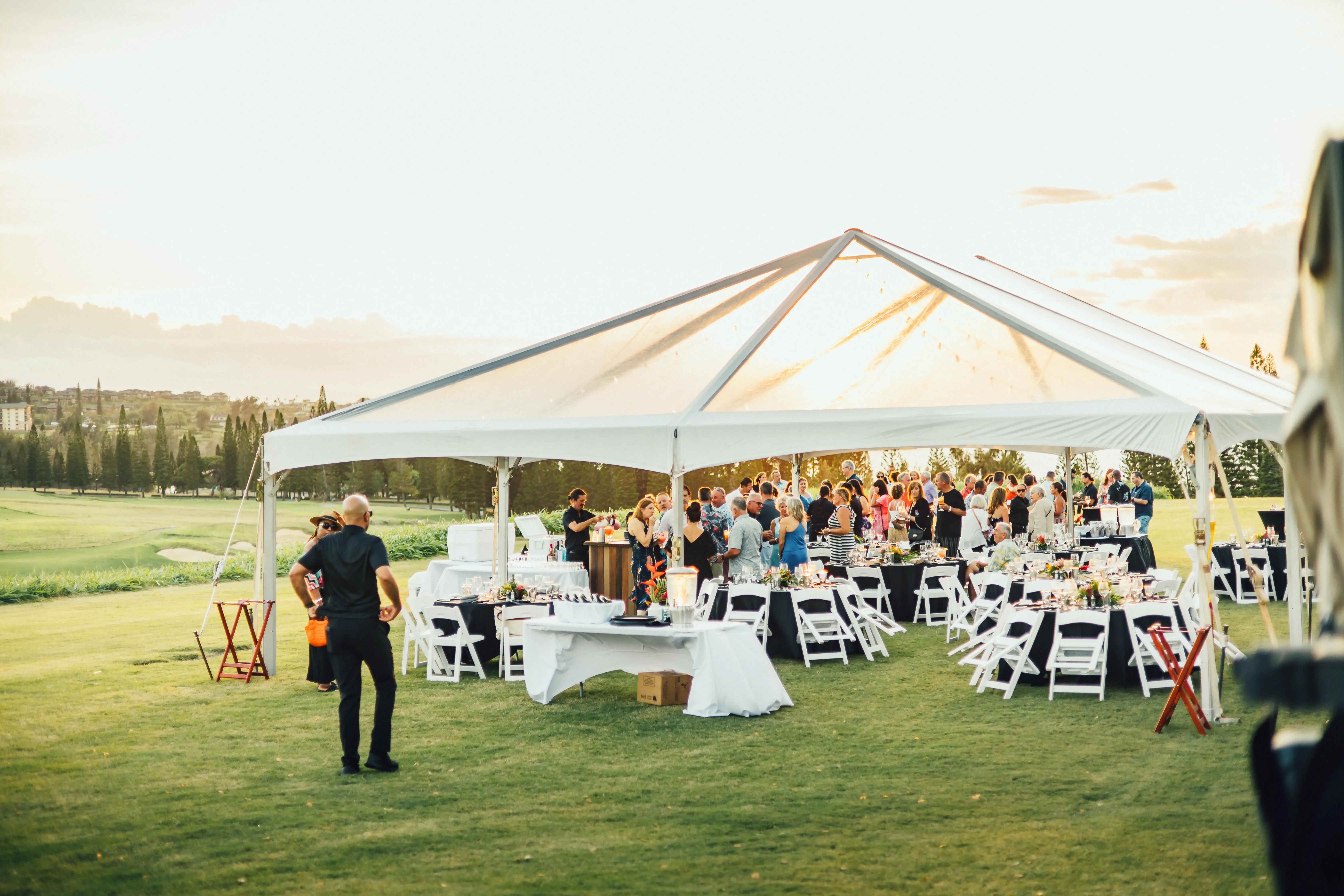 Molokai Lawn - Gallery Image 5