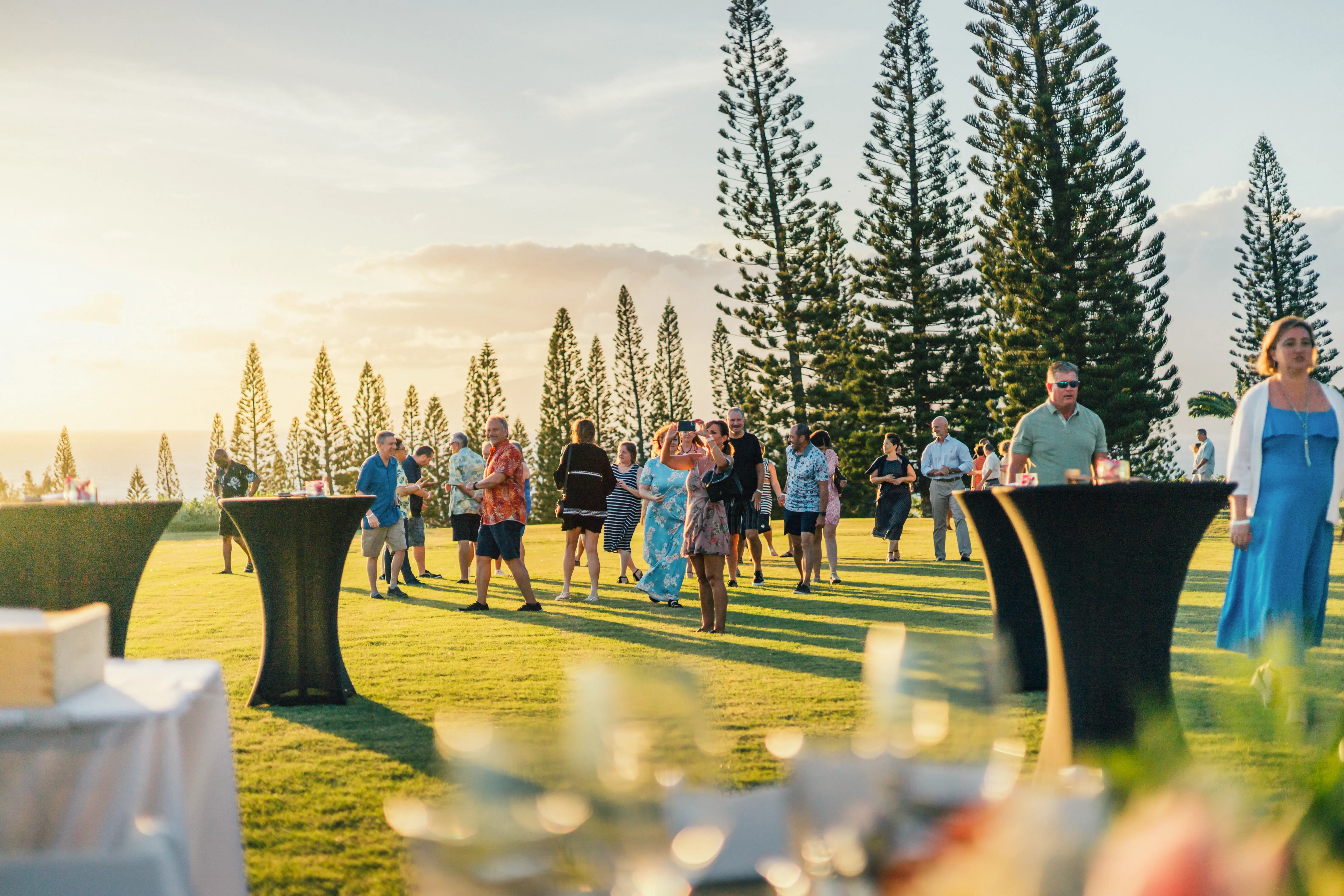 Molokai Lawn - Gallery Image 3