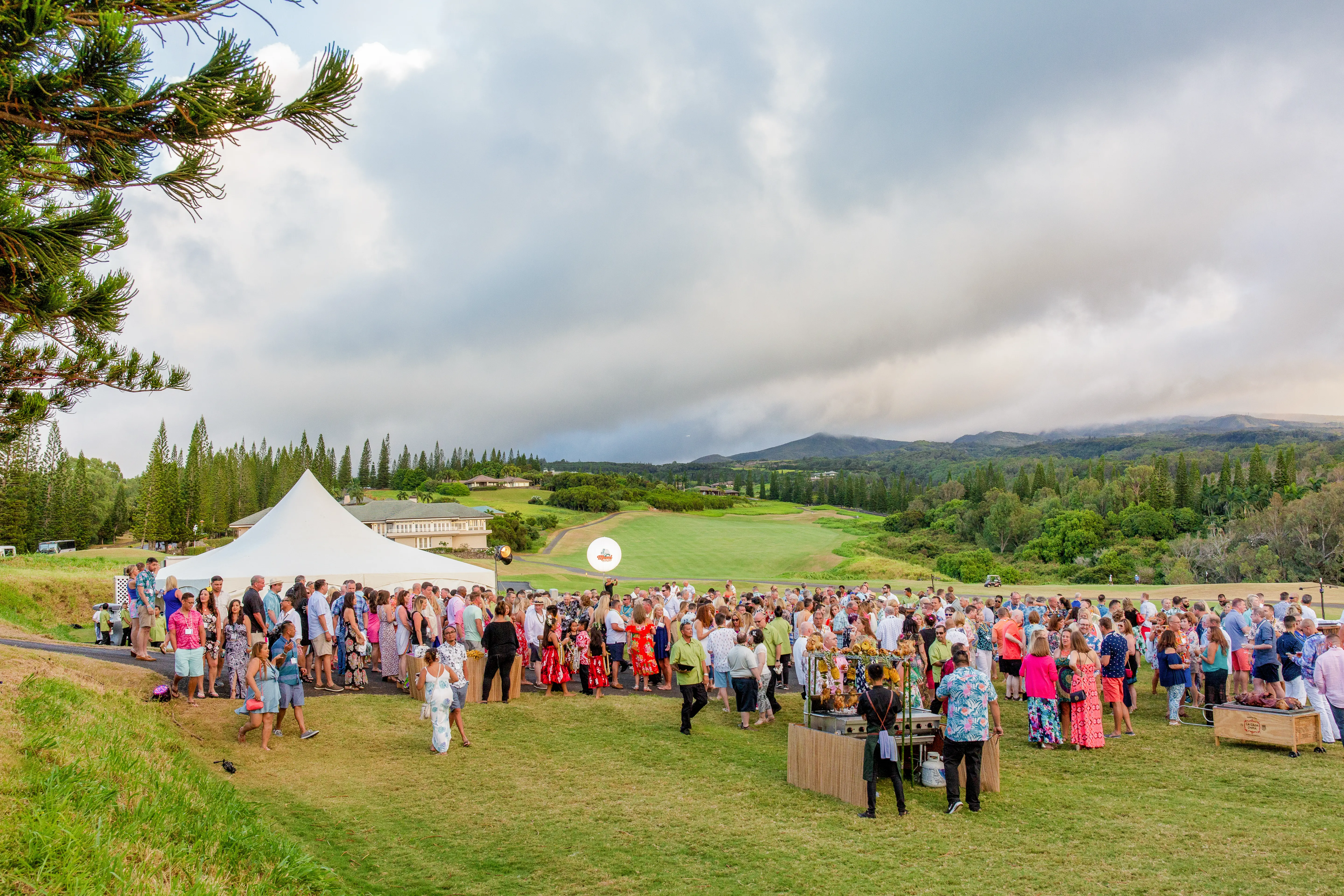 Molokai Lawn - Gallery Image 1