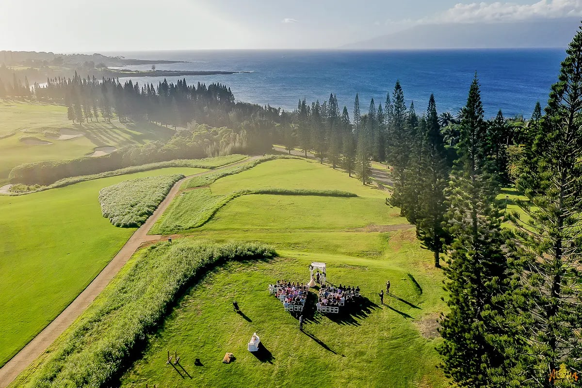 Molokai Lawn