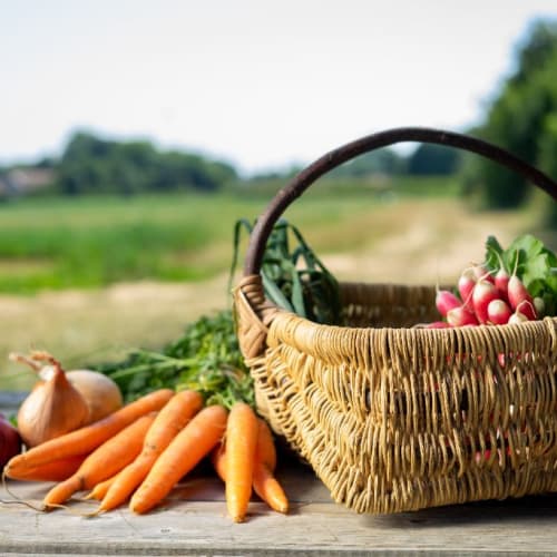 Le Panier de Légumes de Saison