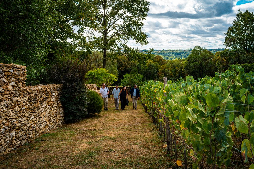 Visite guidée le long du sentier en herbe et du mur en pierres sèches