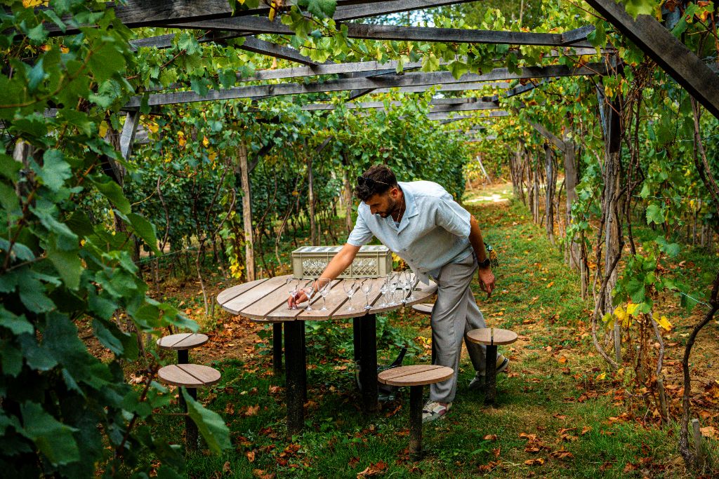 Préparation des verres de dégustation sous la pergola