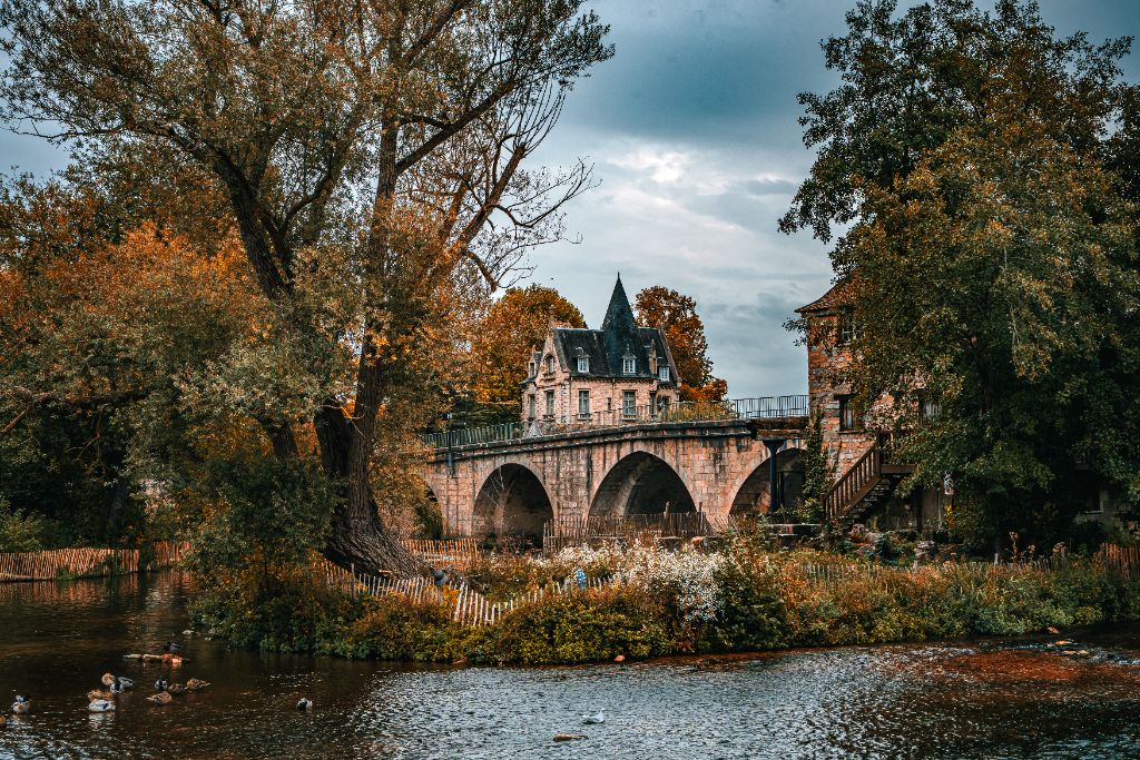 Canards sur le Loing au pied du pont et des moulins insulaires de Moret