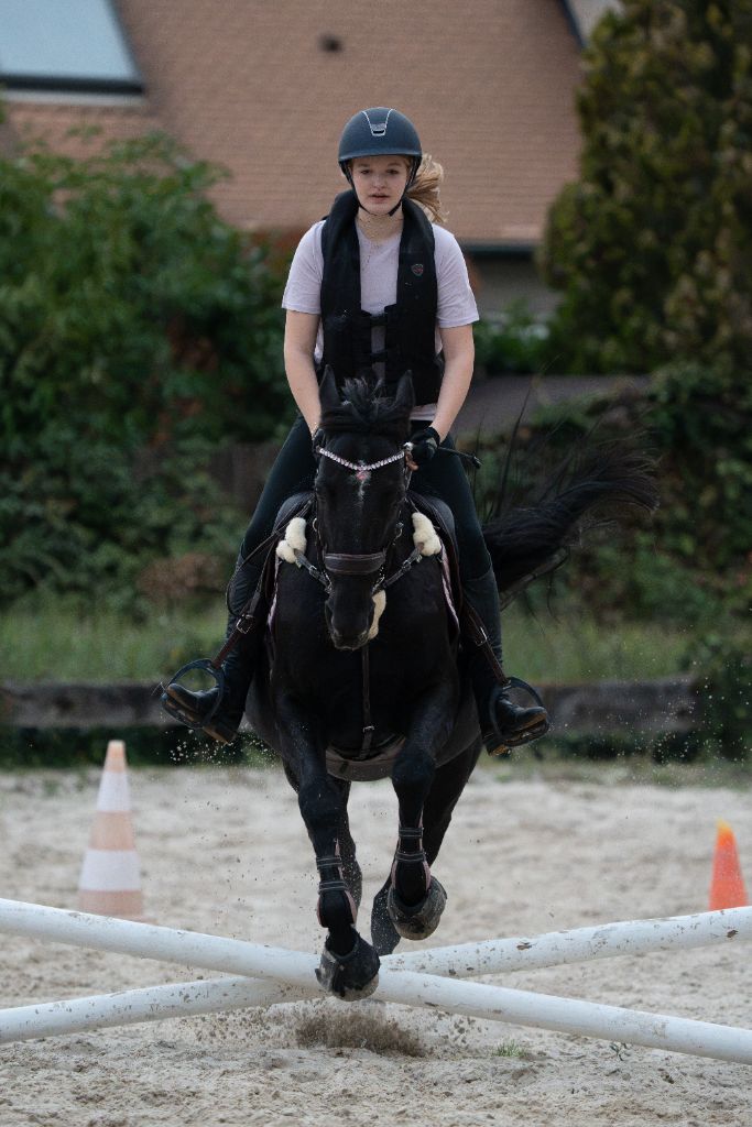 Franchissement d’un croisillon sur cheval noir