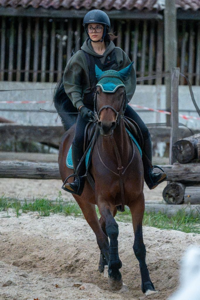 Galop de face en carrière : bonnet et tapis turquoise