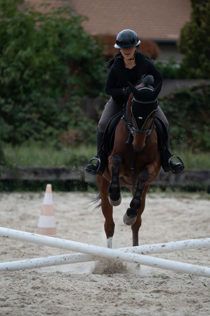 Saut d’un croisillon sur cheval bai à balzane