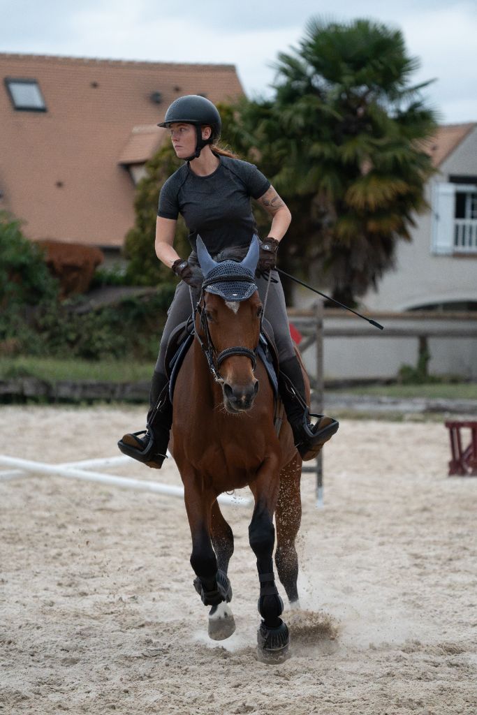 Galop de face et projection de sable : bonnet gris-bleu