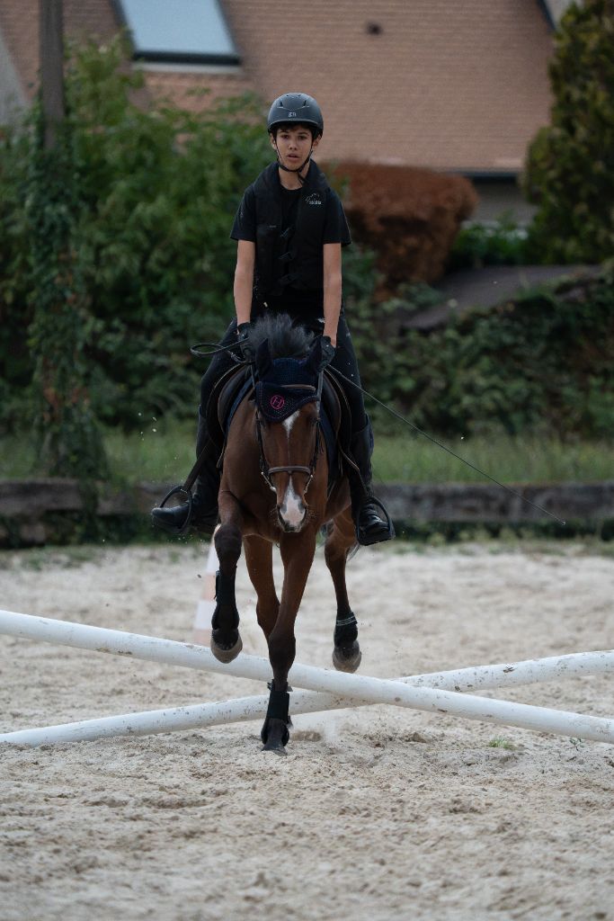 Entraînement studieux : croisillon bas au galop