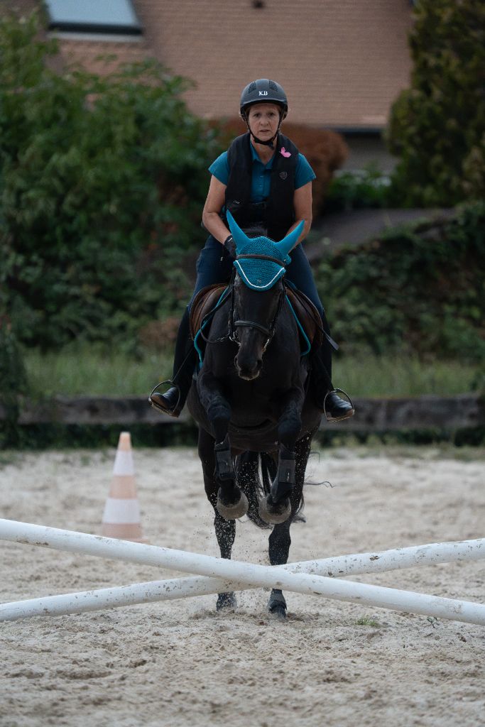 Style turquoise sur croisillon et cheval noir