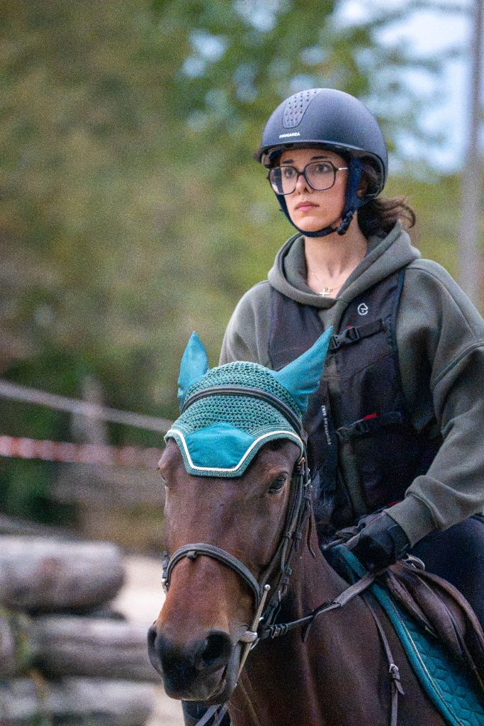 Entre deux reprises : cheval au bonnet vert canard