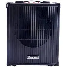 STRANGER Vocal & Keyboard Amplifier Cube 28