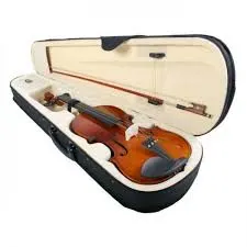 MAXTONE Violin SVC 100