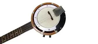 M BISWAS Banjo (4-String)