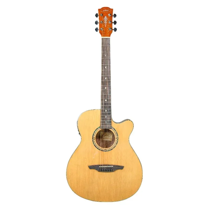 GIULIANI Acoustic Guitar GAG 40SS EQ NG