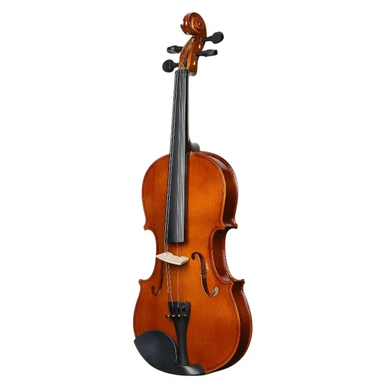 DEVISER Violin V 20MB 4/4