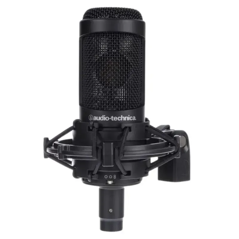 Microphone & Headphones