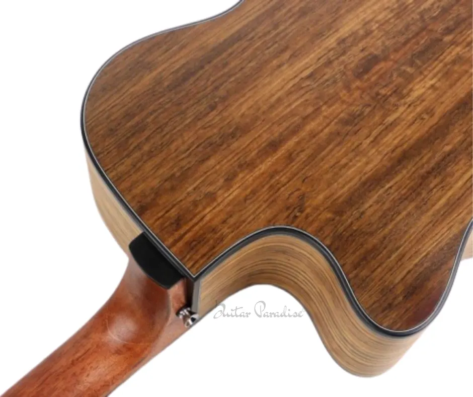 DEVISER Acoustic Guitar LS 570 thumbnail 2