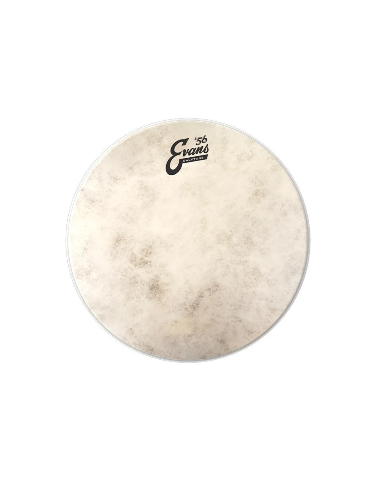 EVANS Drum Head TT 14''C7