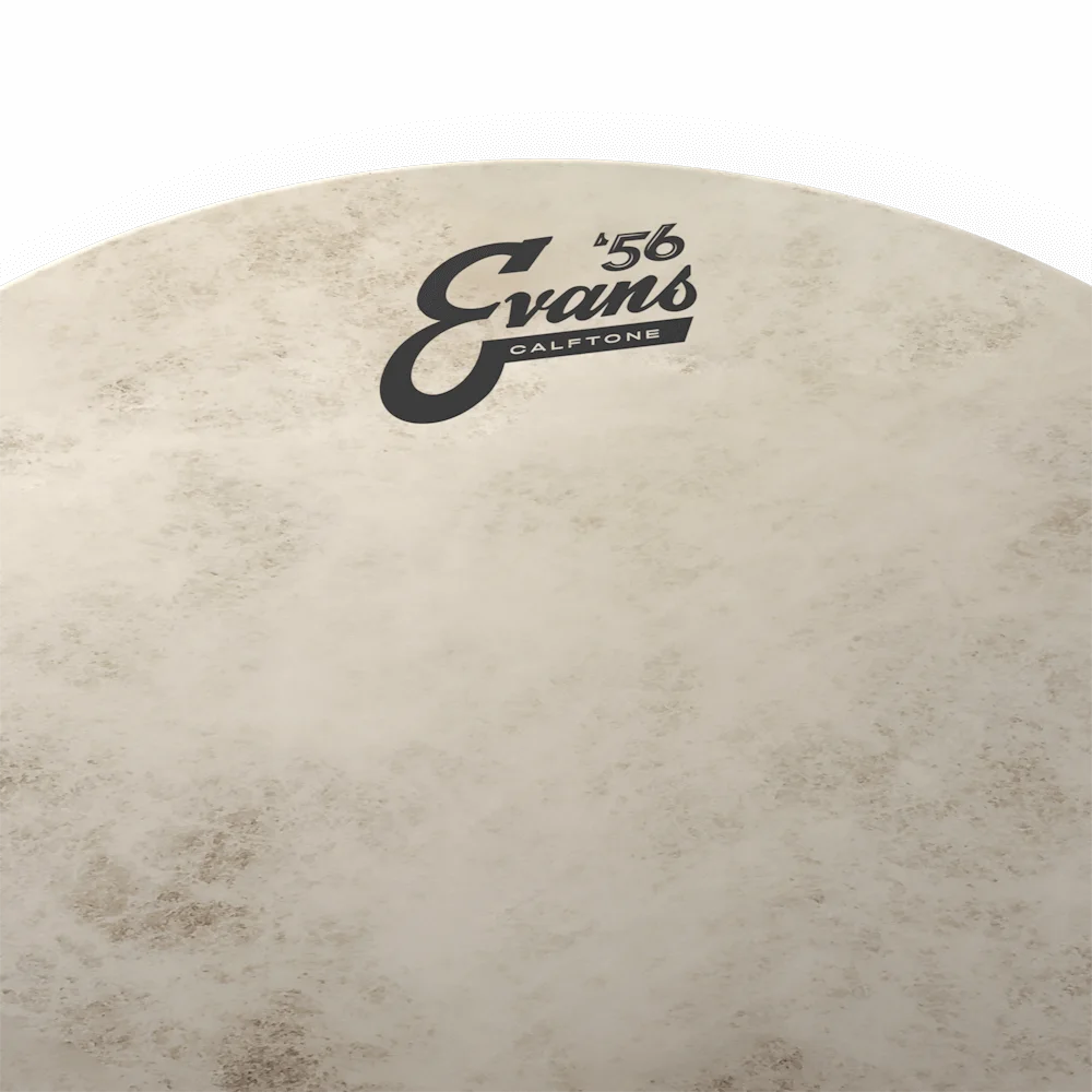 EVANS Drum Head TT 14''C7 thumbnail 2