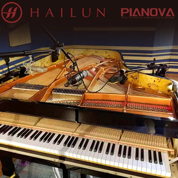 Hailun Metronam thumbnail 3