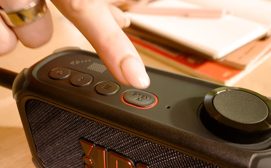 JBL Pole Mount BRX 308 PM DD