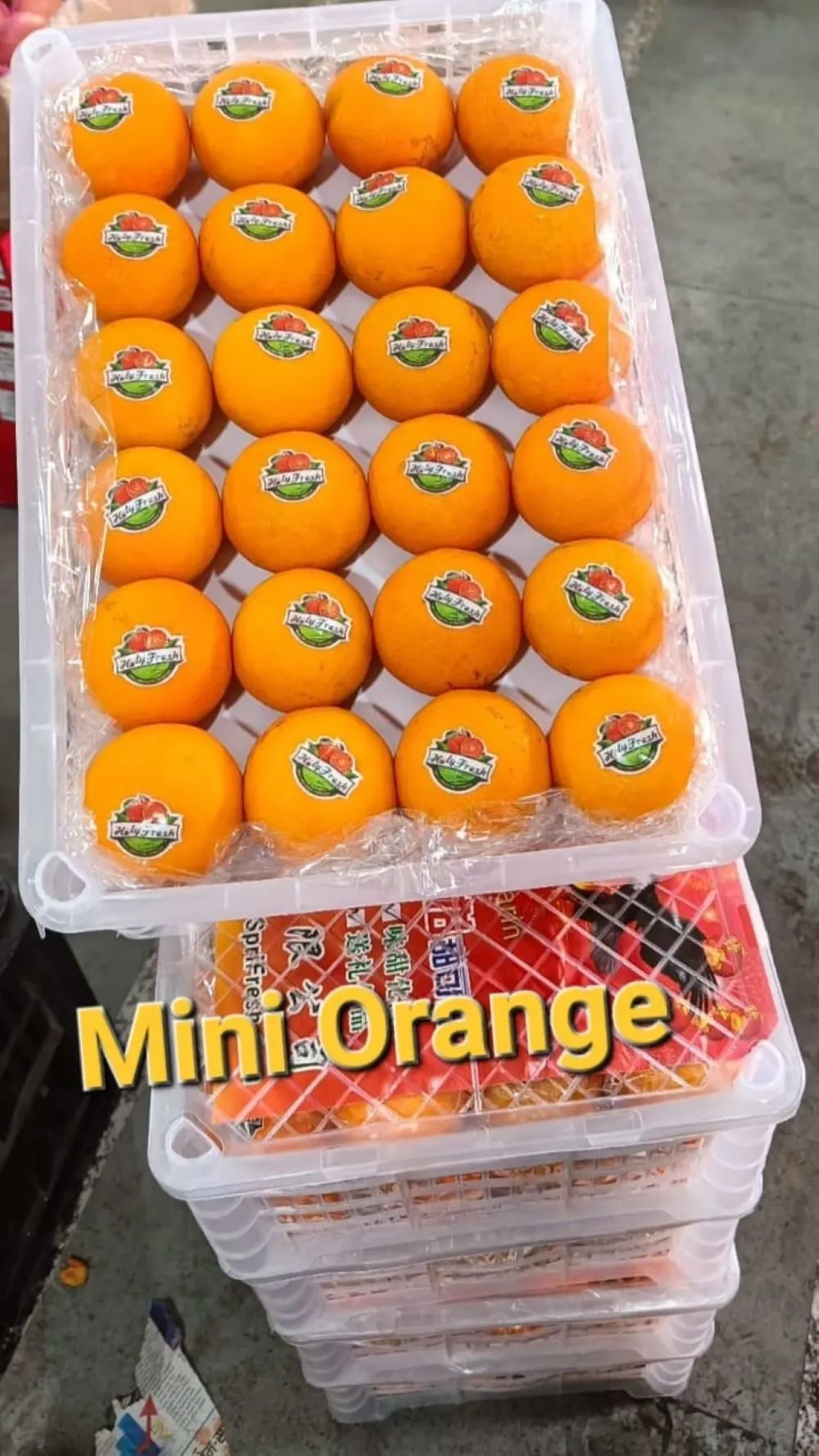 ORANGE Guitar Amplifier CR 3 Mini thumbnail 3