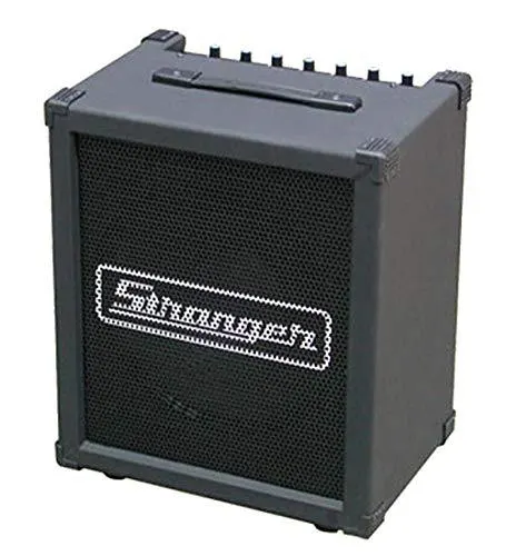 STRANGER Guitar Amplifier Cube 80E
