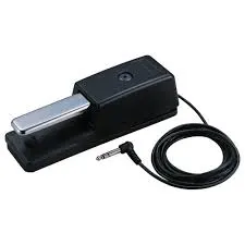 ROLAND Effect Pedal DP 10