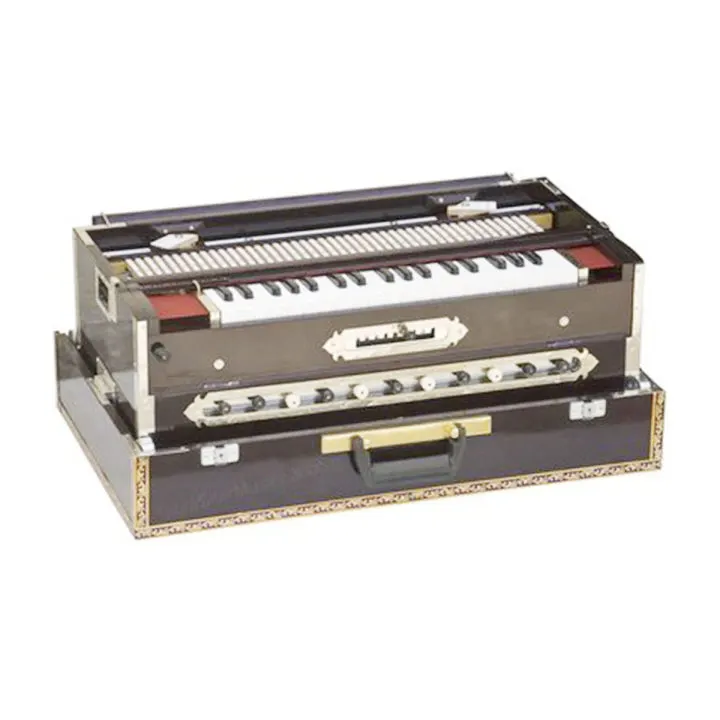 PAYEL Scale Changer Harmonium