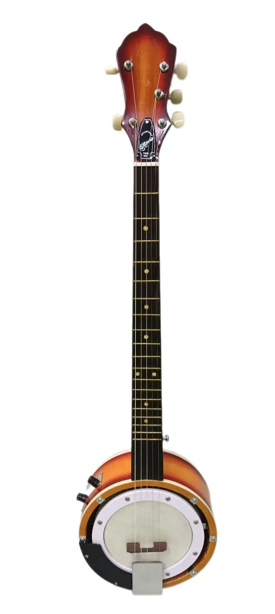 M BISWAS Banjo (5-String)