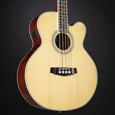 J&D Acoustic Guitar ABG 1C NL