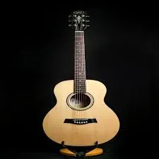 GIULIANI Acoustic Guitar GAG 36SS/NM